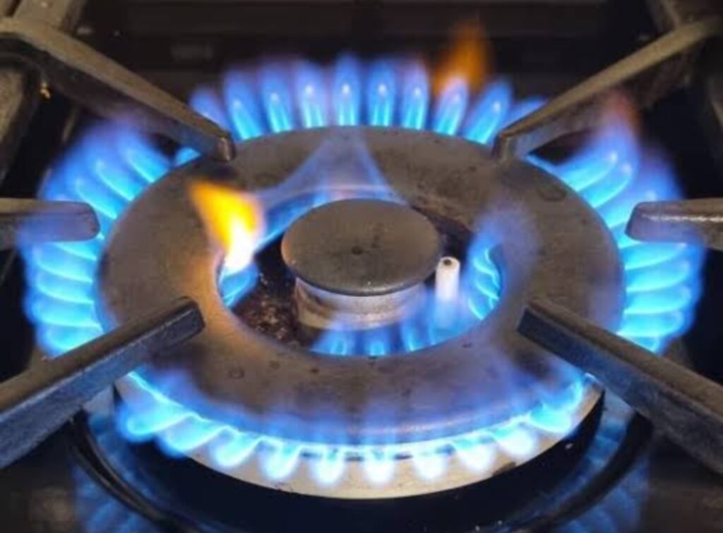 बायोगैस ईंधन के रूप में