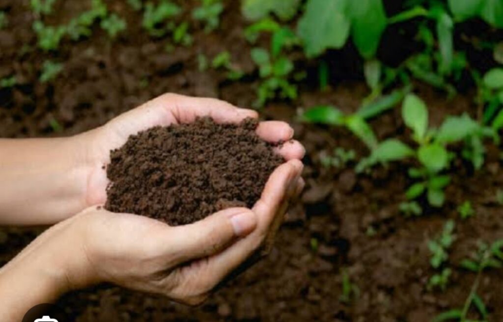 जैविक खाद बायोगैस संयंत्र से निकले अपशिष्ट के रूप में